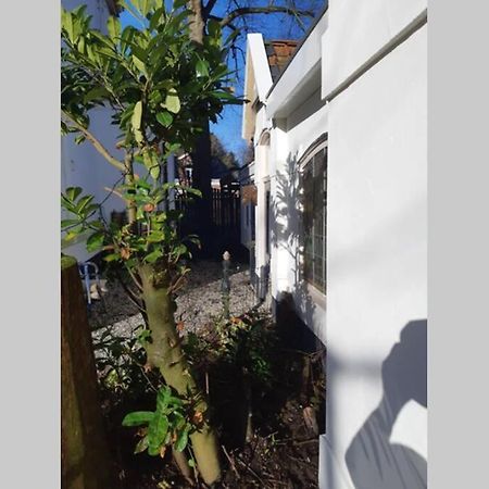 Apartament Oranjerie, 7 Km Onder Groningen Paterswolde Zewnętrze zdjęcie