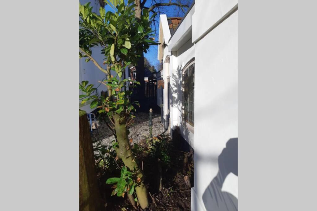 Apartament Oranjerie, 7 Km Onder Groningen Paterswolde Zewnętrze zdjęcie